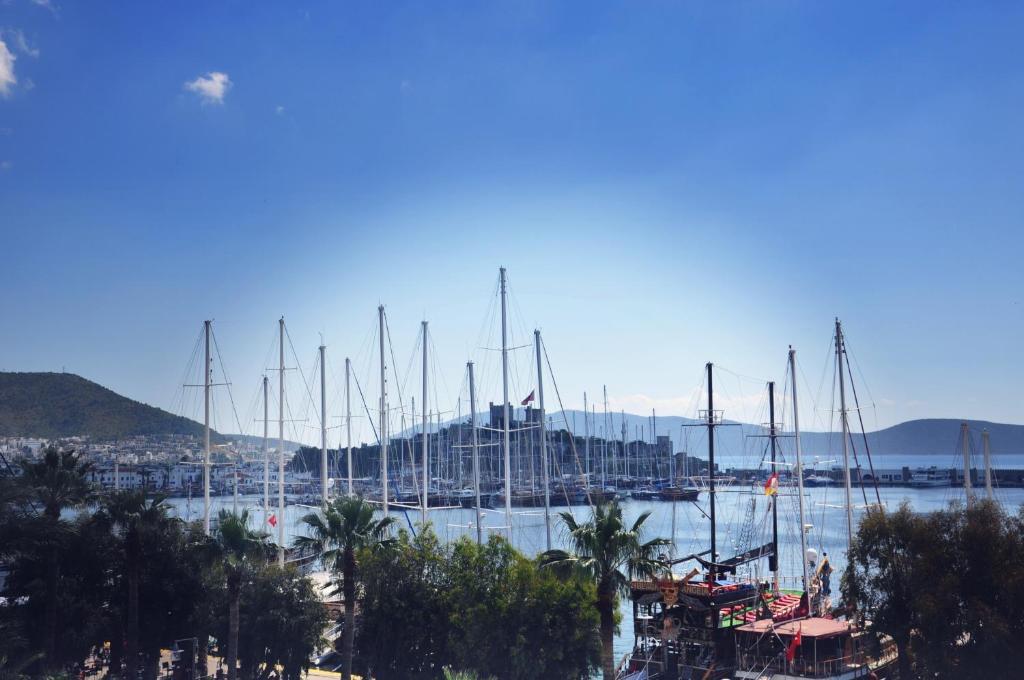 Akkan Hotel Marina (Adults Only) Αλικαρνασσός Εξωτερικό φωτογραφία